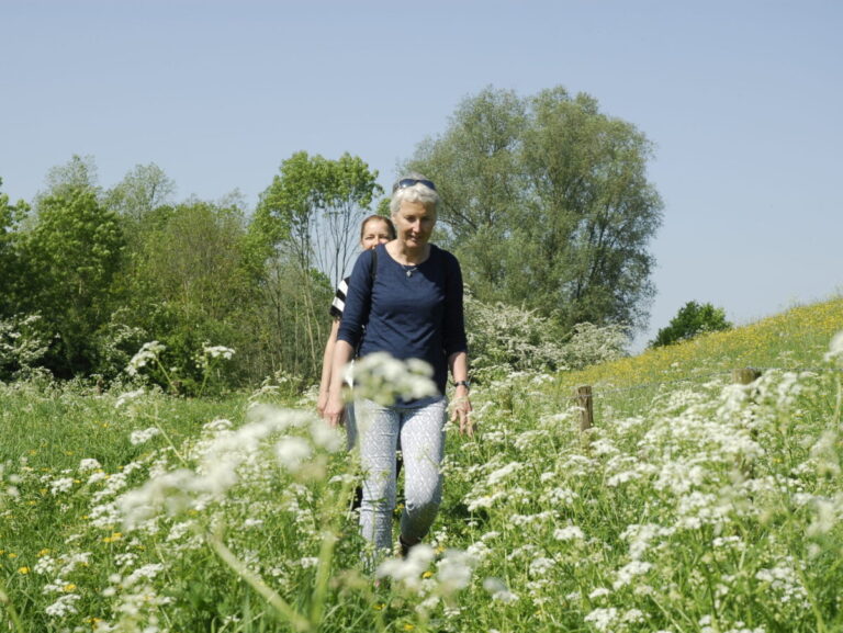 Wandelaars opgelet: twee nieuwe 'ommetjes' in Deil en Enspijk - Dorp Deil