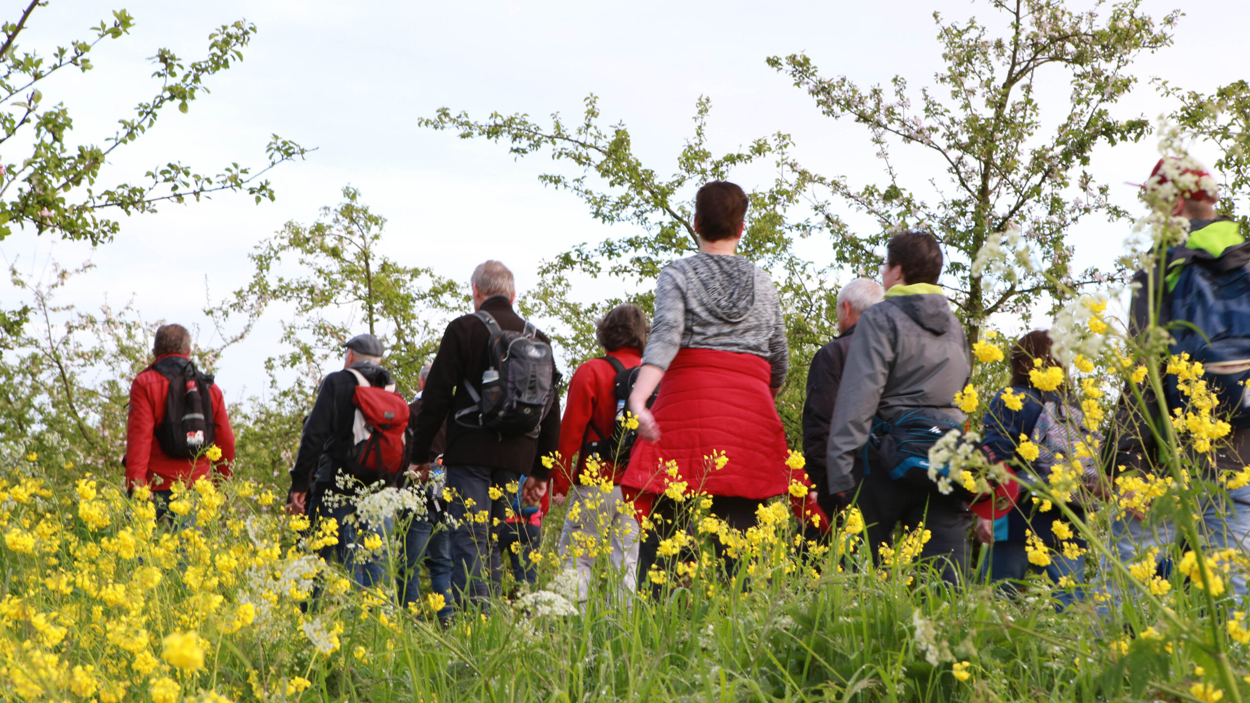 10 december: start inschrijving Betuwse Bloesemtocht 2026!